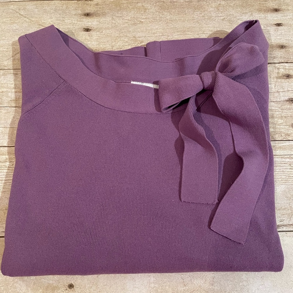 Ann Taylor Loft Sweater Size Large